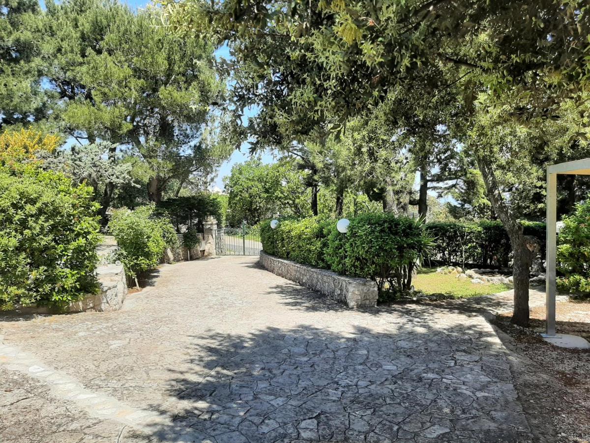 Bellocchio